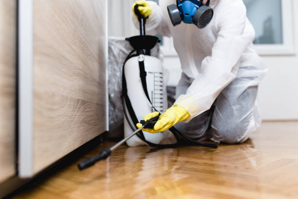 Best Pest Prevention Services  in North Auburn, CA