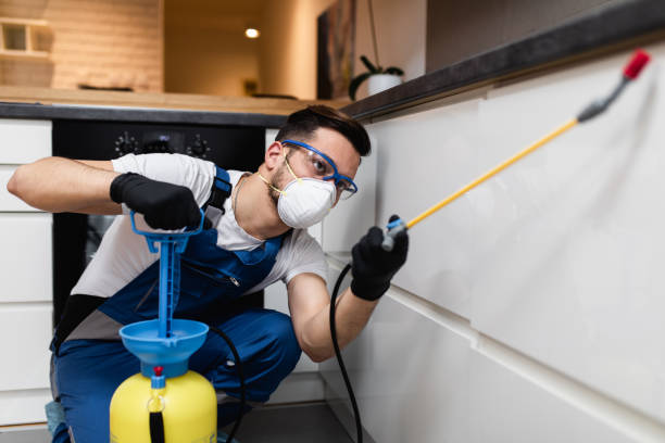Reliable North Auburn, CA Pest Control Solutions