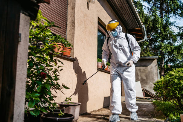 Best Local Pest Control Services  in North Auburn, CA