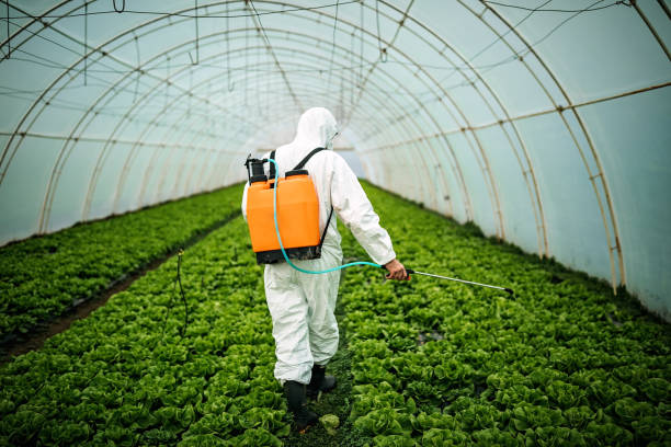 Best Affordable Pest Control Services  in North Auburn, CA