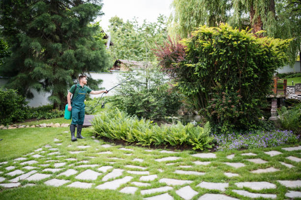 Best Cockroach Control Services  in North Auburn, CA