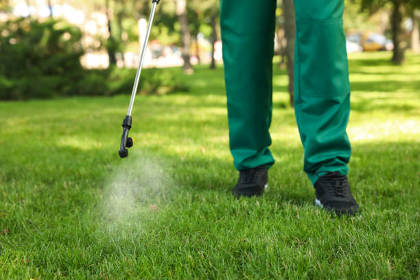 Best Pest Inspection Near Me  in North Auburn, CA