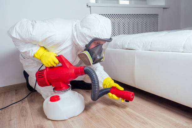 Best Cockroach Control Services  in North Auburn, CA