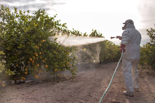Pest Control for Restaurants in North Auburn, CA